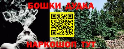 шишки Славянск-на-Кубани