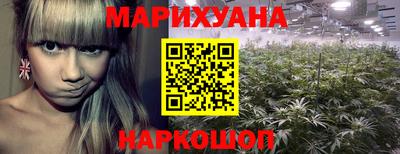 шишки Славянск-на-Кубани
