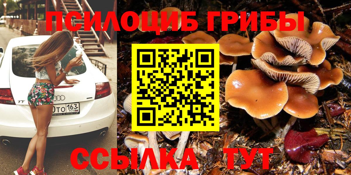 Галлюциногенные грибы мицелий Орёл